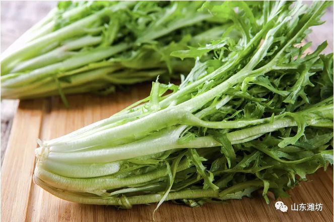 春天吃什么野菜补血最快,春天吃什么野菜下火最多