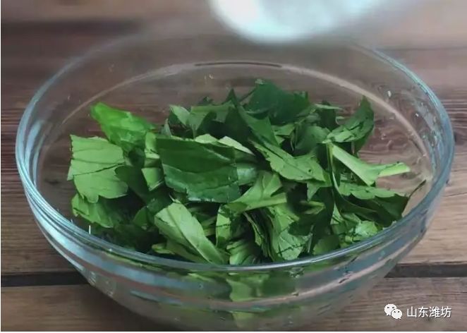 春天吃什么野菜补血最快,春天吃什么野菜下火最多