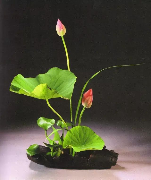 最难写的汉字10个字,最复杂难写的十个汉字