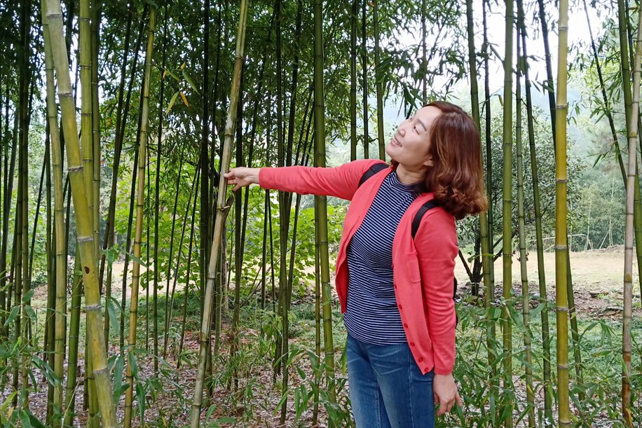 吴正宪特级教师之路,吴正宪教师简介