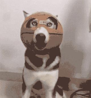 不小心撞到法拉利要赔多少钱,撞到法拉利走保险要赔多少