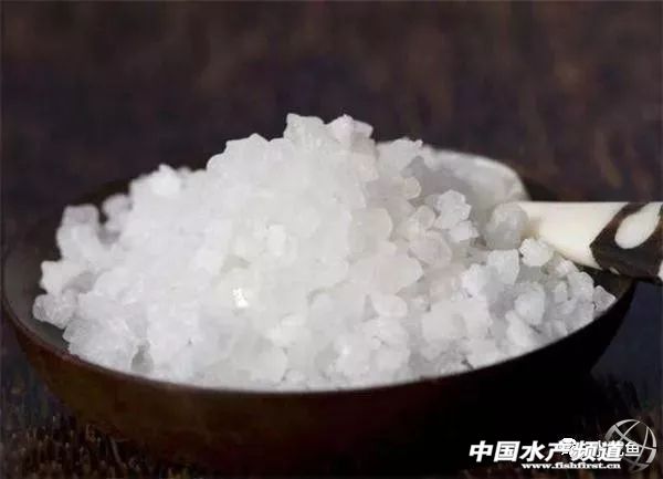 细菌性烂鳃和寄生虫性烂鳃的区别,烂鱼鳃病怎么治疗