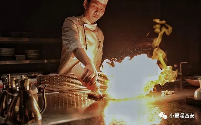 初春的西影厂，是那棵法国梧桐树下的日料店