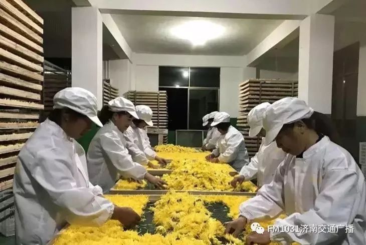 春季养生清肝食物大全图片,春天清肝火明目的食物