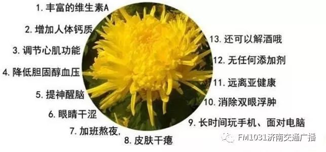 春季养生清肝食物大全图片,春天清肝火明目的食物