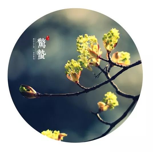 今日惊蛰！这条河已经悦动春的旋律～