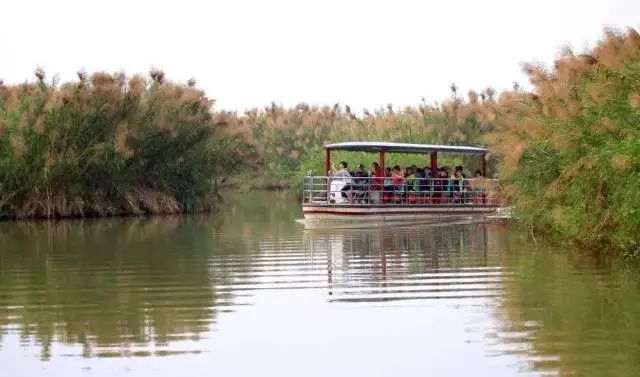 最便宜广州塔游玩攻略,广州塔268元套票攻略