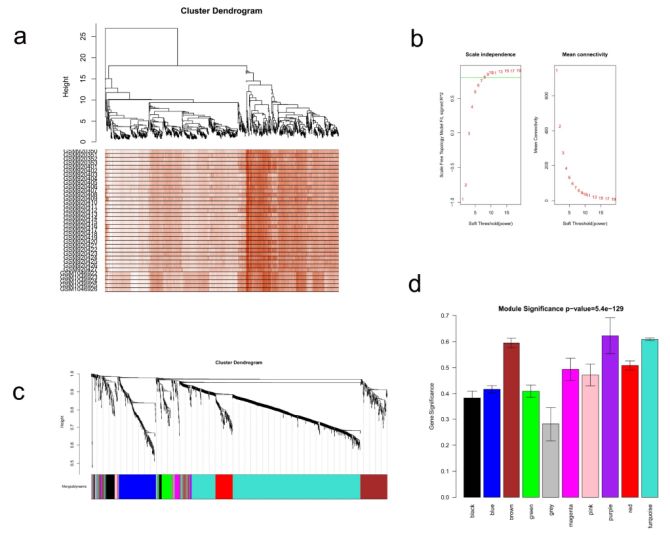 怎么把文献里的图表弄出来编辑,看文献有看不懂的图表怎么办