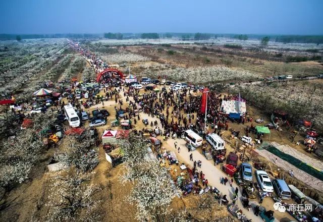 黄河故道徒步穿越,黄河故道湿地花海