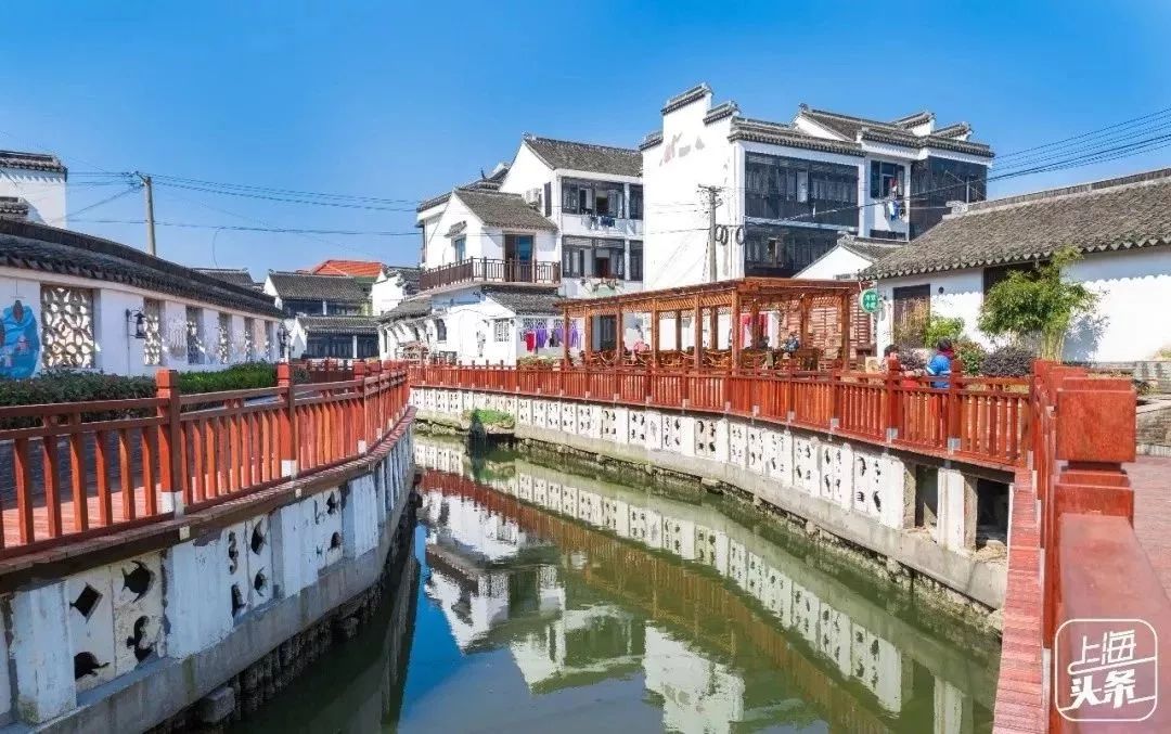 吵翻了！魔都16区终于正面PK！哪个是你心中的C位担当？