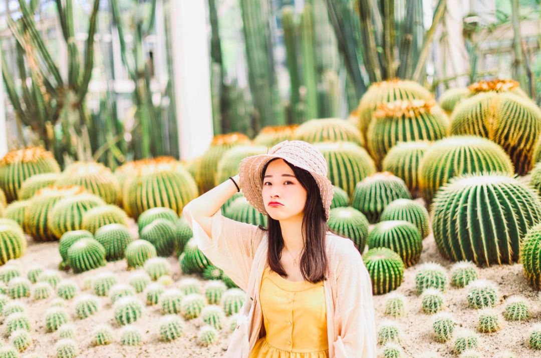 厦门网红景点拍照技巧,厦门金沙湾婚纱摄影基地拍照好看