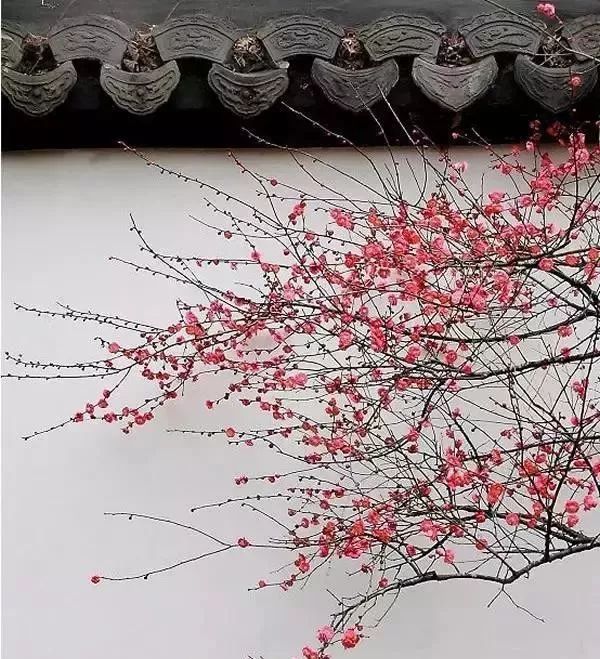 人民日报整顿100个最常误用的成语,人民日报总结的常被误用的成语