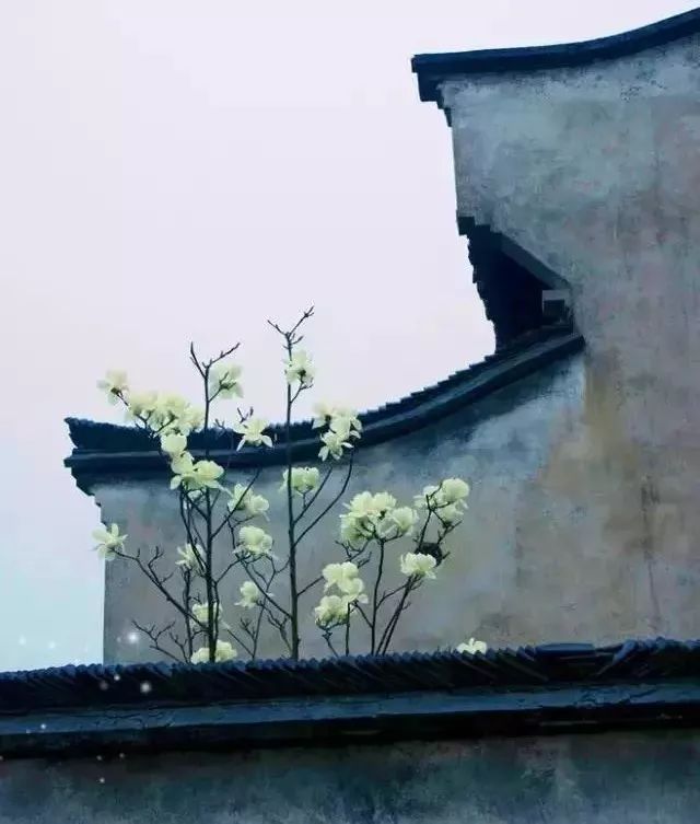 人民日报整顿100个最常误用的成语,人民日报总结的常被误用的成语