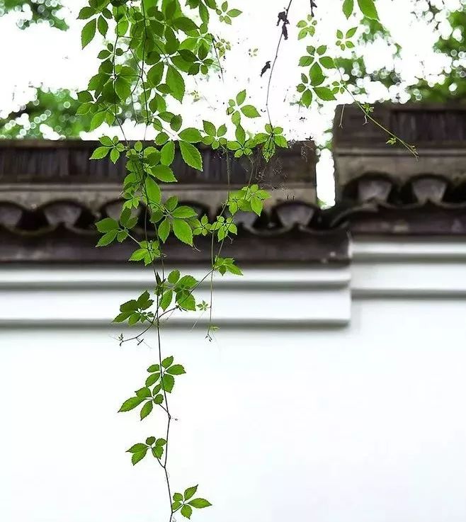 人民日报整顿100个最常误用的成语,人民日报总结的常被误用的成语