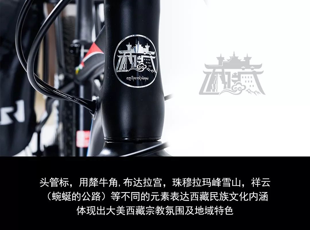 心之所向身之所往进藏,心之所向身之所往312