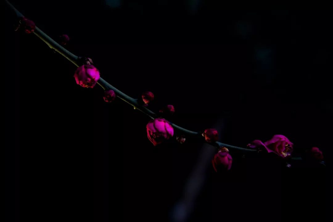 腾讯、联通、新东方都准备来华师“抢人”，本周就业讲座通知汇总，赶紧安排一下！