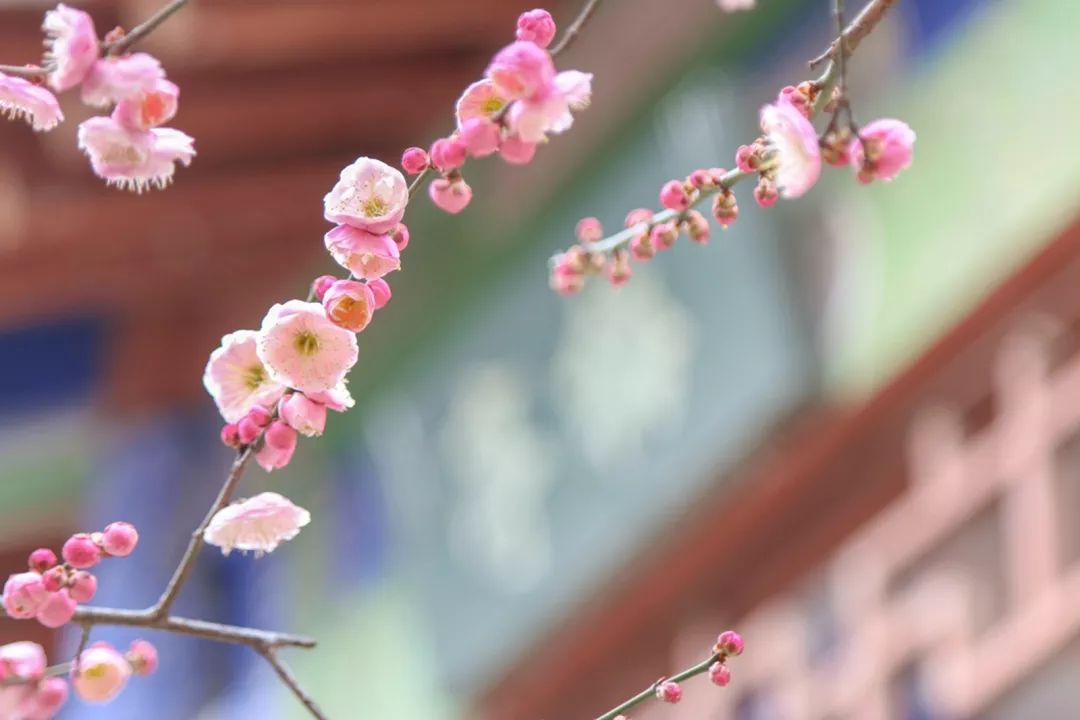 腾讯、联通、新东方都准备来华师“抢人”，本周就业讲座通知汇总，赶紧安排一下！