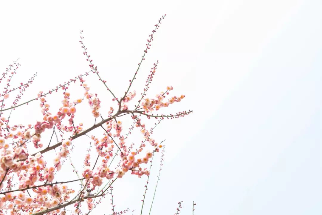 腾讯、联通、新东方都准备来华师“抢人”，本周就业讲座通知汇总，赶紧安排一下！