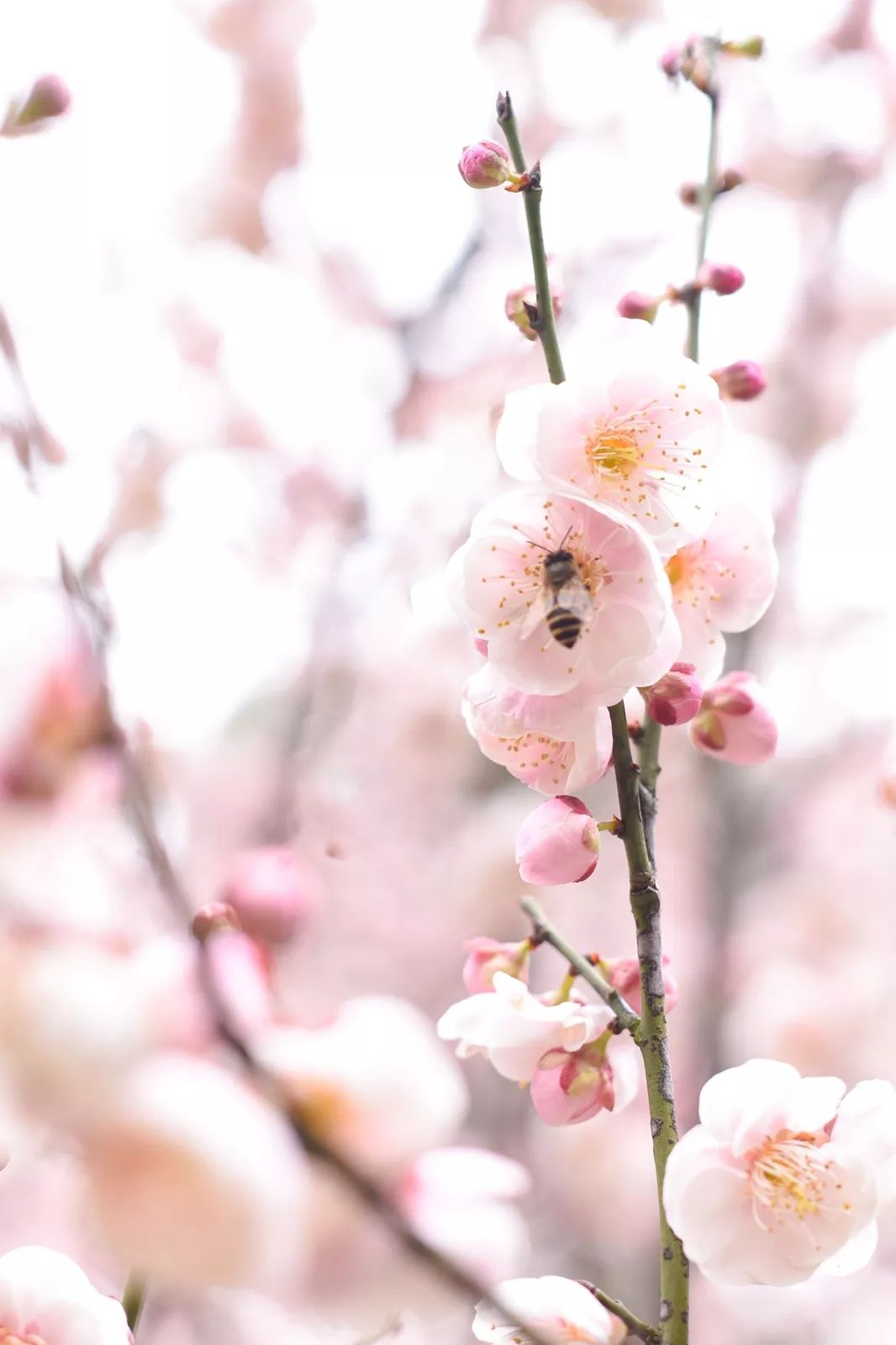 腾讯、联通、新东方都准备来华师“抢人”，本周就业讲座通知汇总，赶紧安排一下！