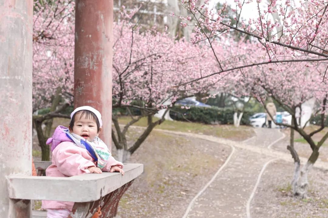 腾讯、联通、新东方都准备来华师“抢人”，本周就业讲座通知汇总，赶紧安排一下！