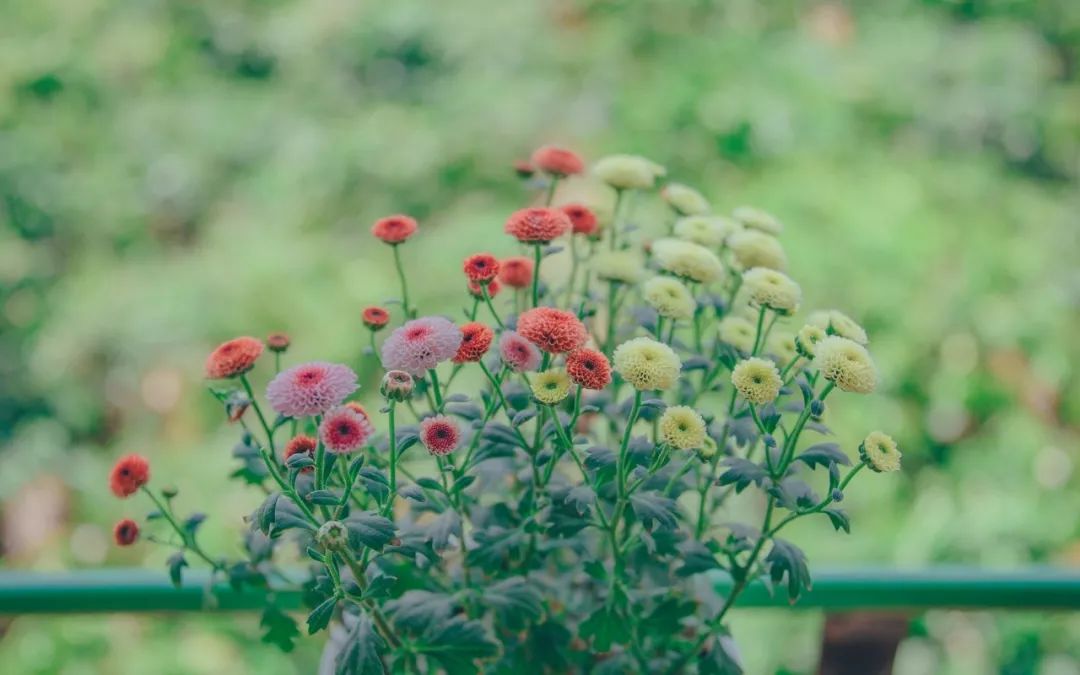 最美的养心诗词,美到心碎最触动心灵的十句诗词