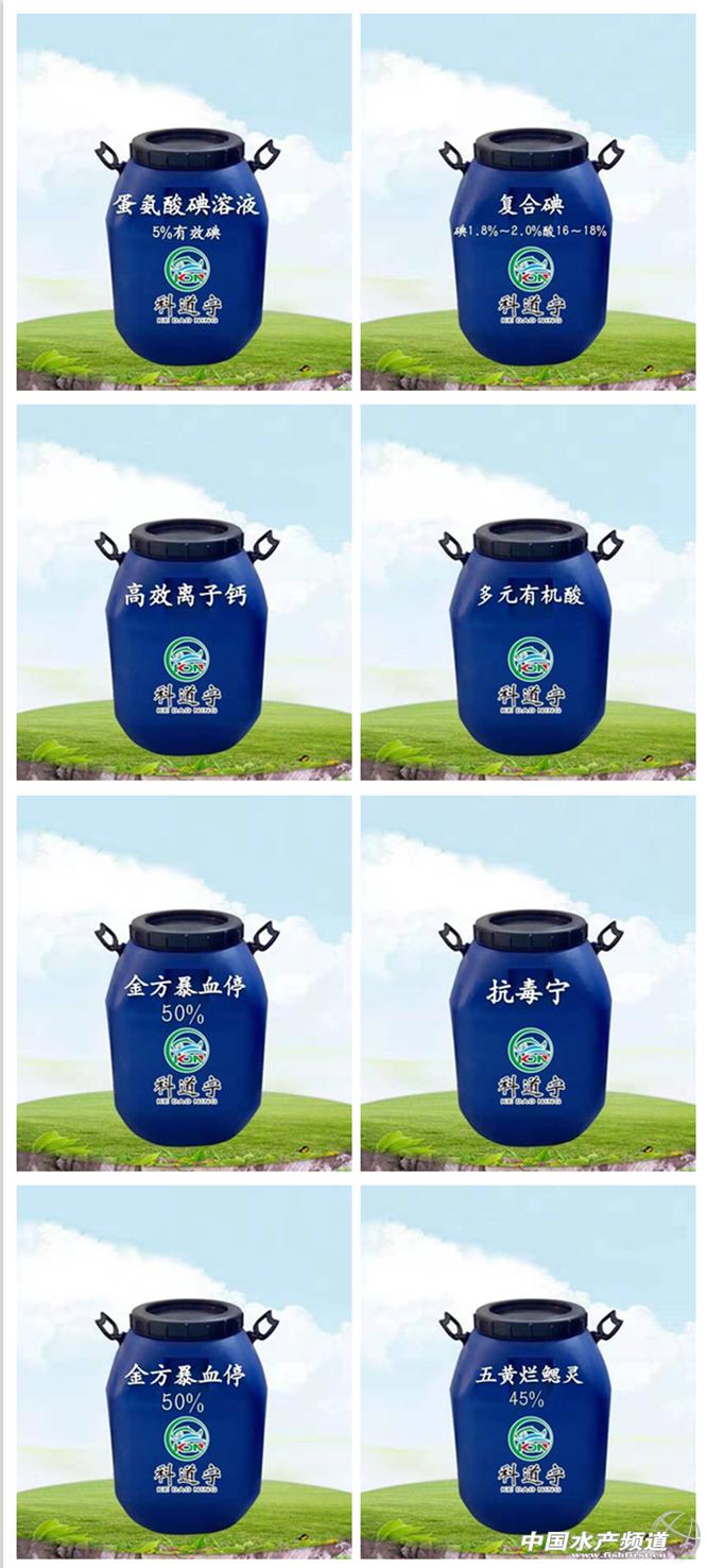 B012-1天津市科道宁科技有限公司