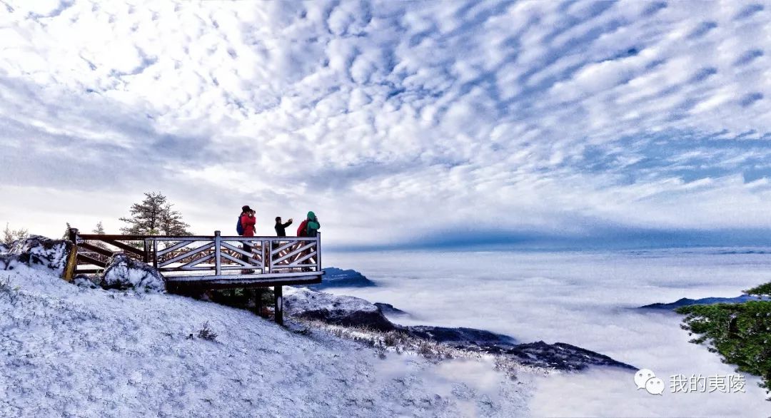 夷陵美|冬去春来~