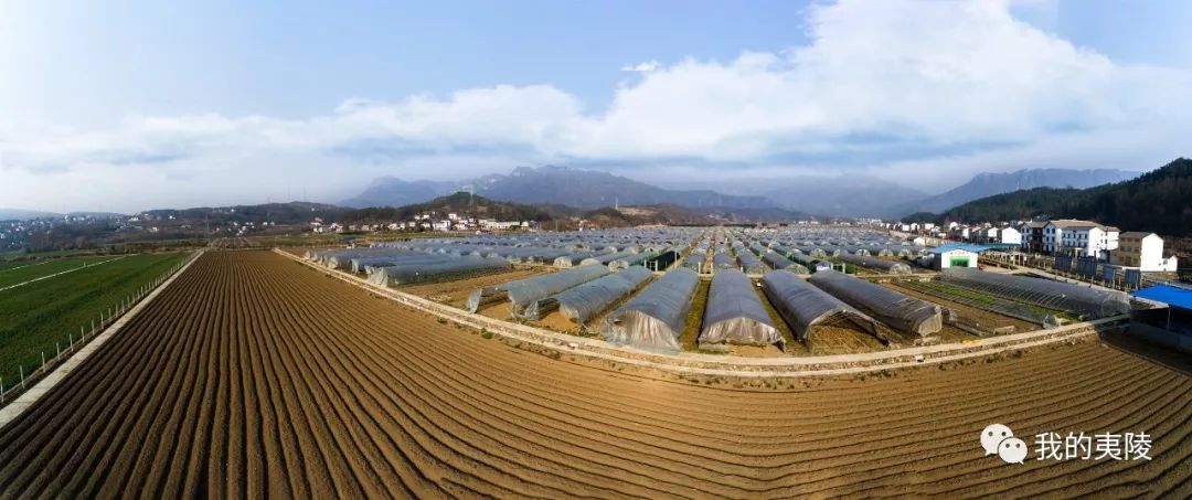 夷陵美|冬去春来~