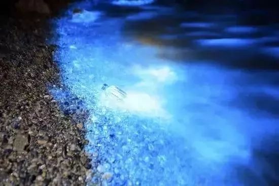 3月31日起，衢州可直飞大连、成都、贵阳！美景美食约起来～