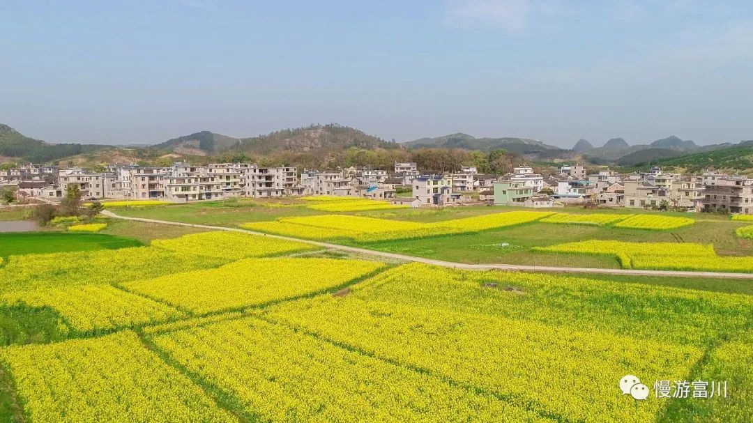 深渡镇旁边拍油菜花最佳位置在哪,深坡花海