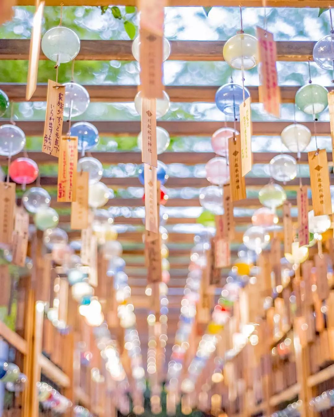 鍐板窛绁炵ぞ缁撶紭,鍐板窛绁炵ぞ鐑熻姳寰″畧