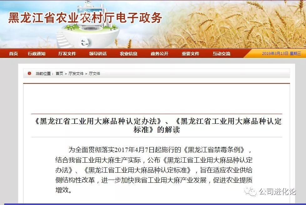 13只工业概念股,苎麻核心概念股