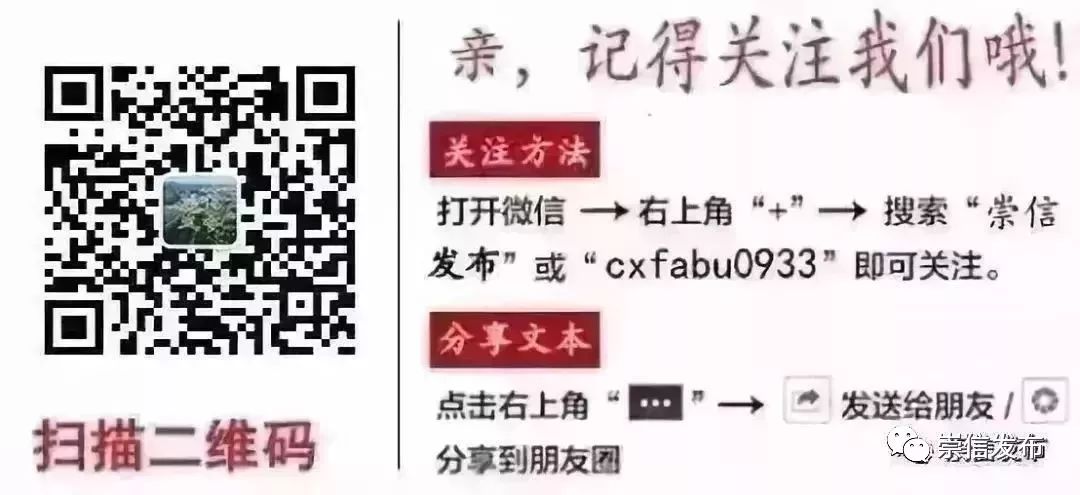 丰子恺与其痛苦不如释然,丰子恺学会放弃