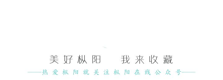 决胜小康看枞阳｜主题征文选登——老钱家的对联，老钱的笑