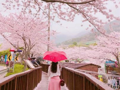 “胜利门”牵出另一宗悬案：9年前的江南区刑警自杀之谜...