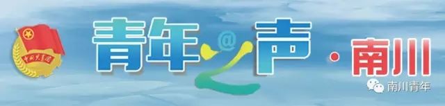 金佛山方竹笋节开幕式,金佛山方竹笋哪家好吃