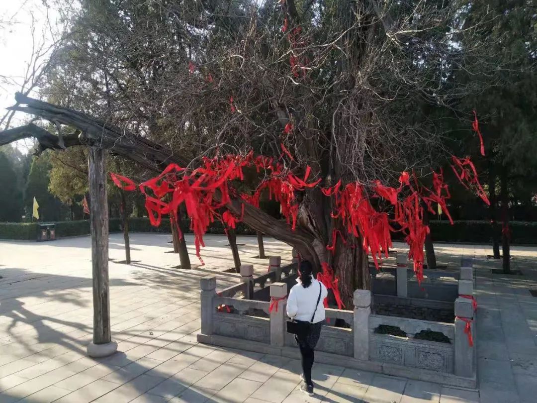 文旅融合高质量发展山西,山西文旅融合