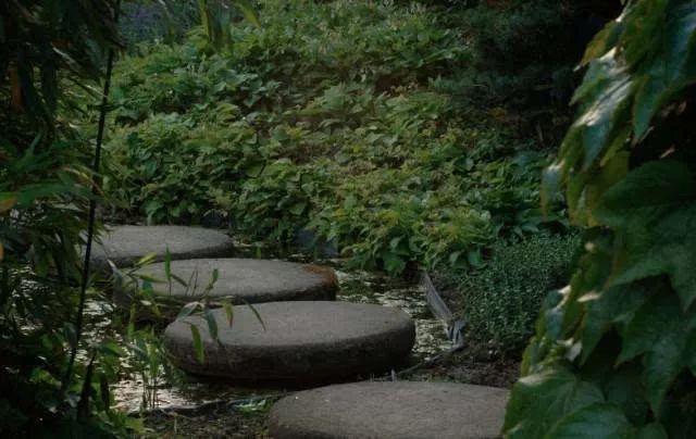 人民日报整顿100个最常误用的成语,人民日报总结的常被误用的成语