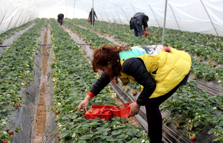 十堰春游必去十大景点图片,春游去哪玩十堰