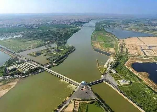 河套小麦知识,河套小麦为啥好