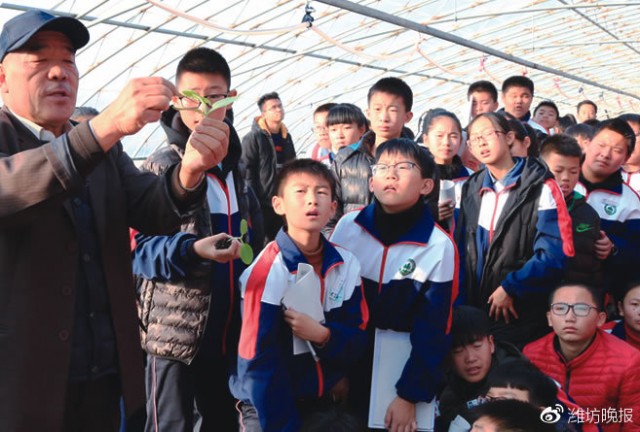 潍坊发展昌乐教育,昌乐县教育的发展