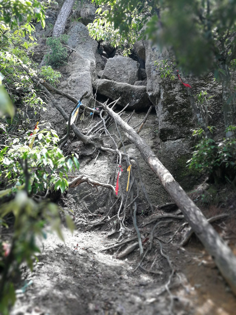 搁船尖登顶难度,搁船尖天目山光明顶