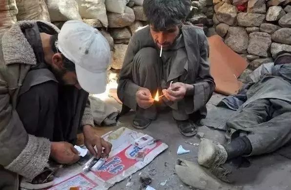 蝎子烟真的能吸吗,蝎子烟