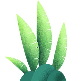 每日小满的养生知识,小满养生食疗食谱大全