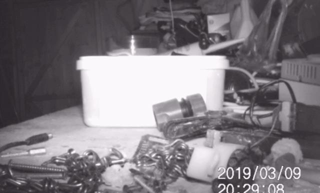 桌面每晚都被神秘力量整顿干净，装了监控才发现居然是老鼠在收拾?!