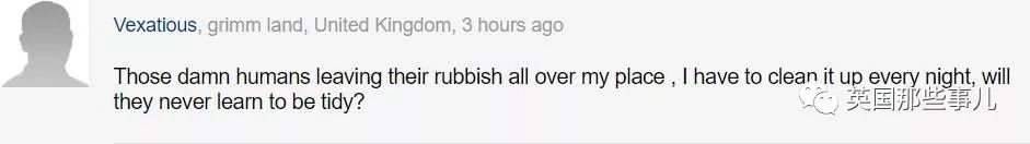 桌面每晚都被神秘力量整顿干净，装了监控才发现居然是老鼠在收拾?!