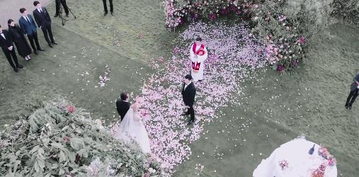 刘亦菲肖战吴磊刘昊然,刘亦菲吴磊刘昊然