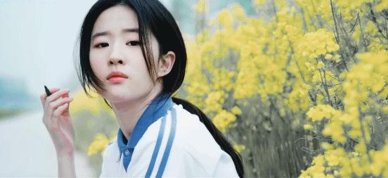 刘亦菲肖战吴磊刘昊然,刘亦菲吴磊刘昊然