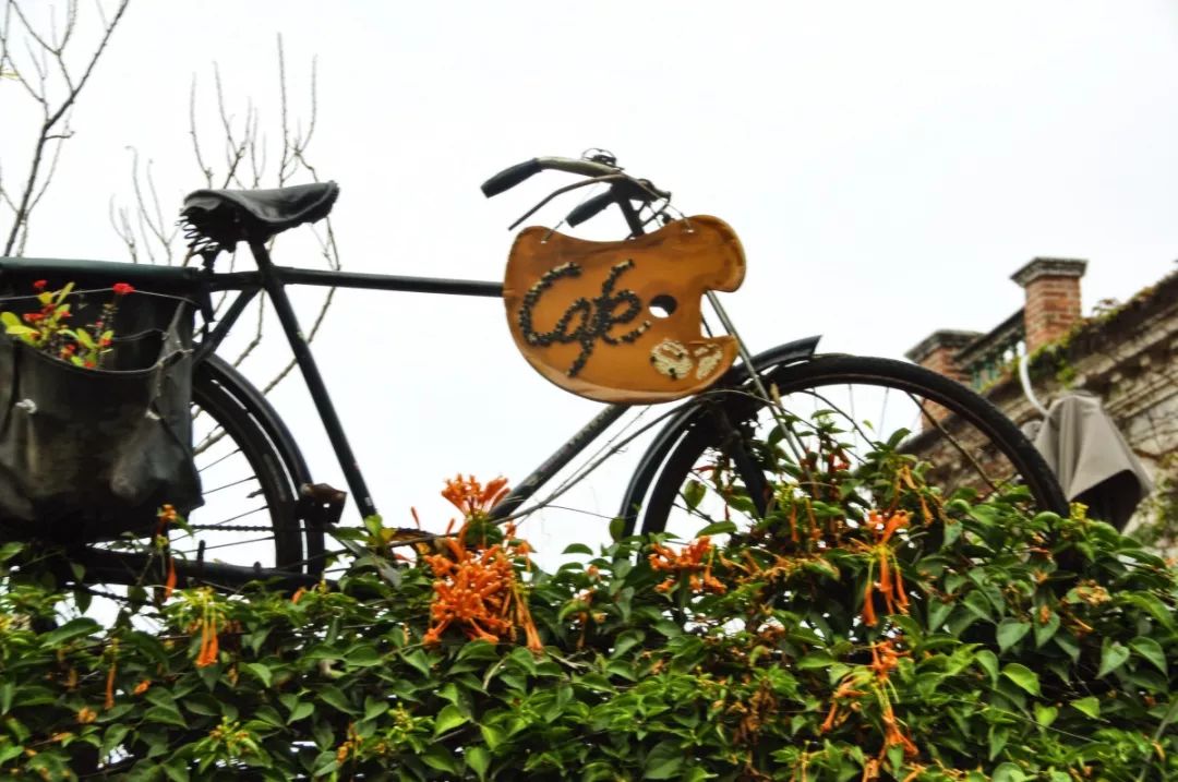 厦门春节旅行团旅游攻略大全,五一假期厦门旅行攻略