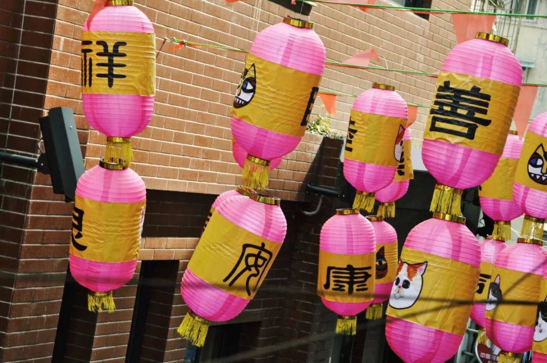 厦门春节旅行团旅游攻略大全,五一假期厦门旅行攻略